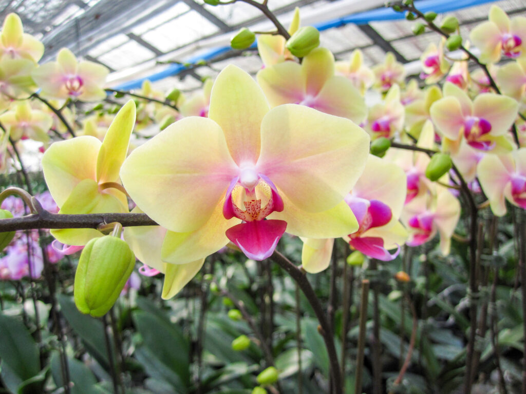 原島商事事業案内1